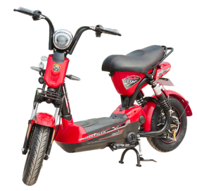 Xe đạp điện 133X9